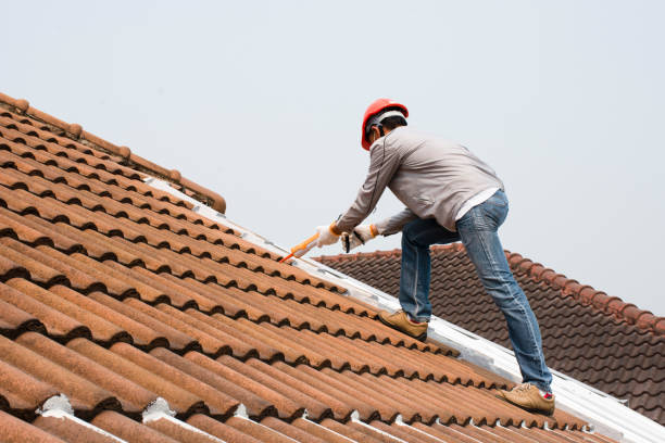 Best Roof Ventilation Installation  in Rutledge, GA