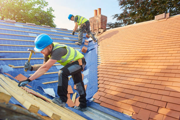 Best Solar Panel Roofing Installation  in Rutledge, GA